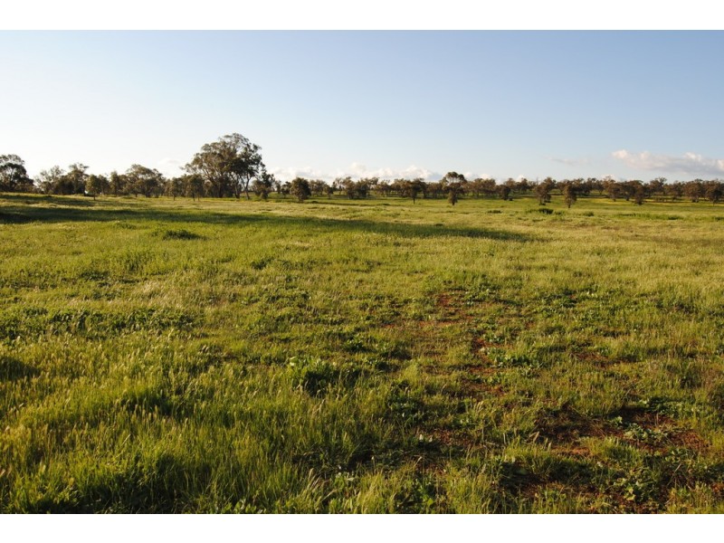 Pt Farm 86 Hulong Road, Widgelli NSW 2680