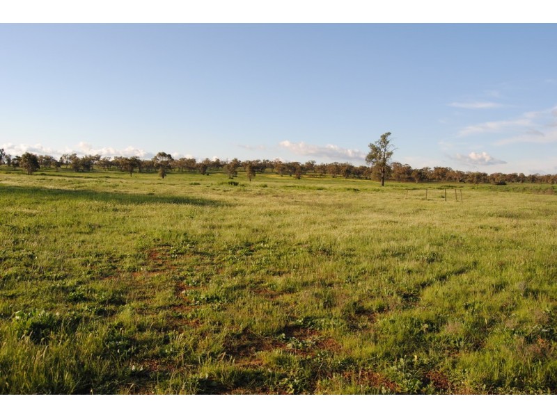Pt Farm 86 Hulong Road, Widgelli NSW 2680
