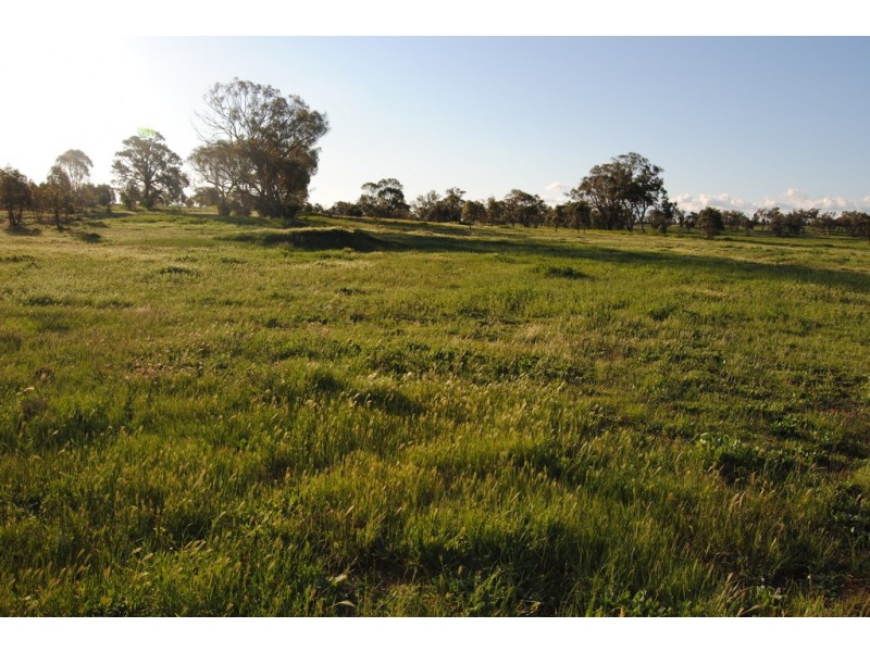 Pt Farm 86 Hulong Road, Widgelli NSW 2680
