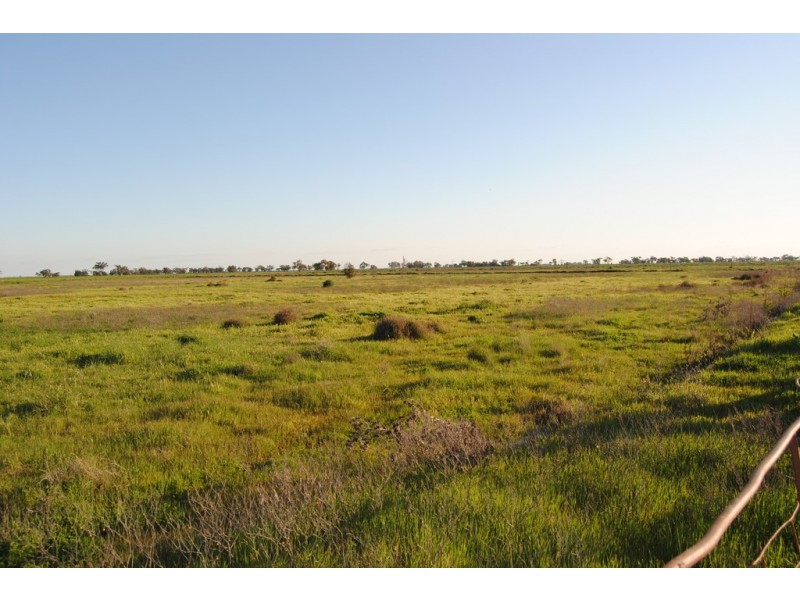 Pt Farm 86 Hulong Road, Widgelli NSW 2680