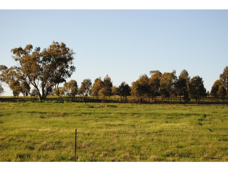 Pt Farm 86 Hulong Road, Widgelli NSW 2680