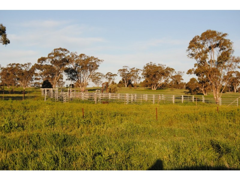Pt Farm 86 Hulong Road, Widgelli NSW 2680