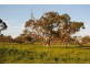 Pt Farm 86 Hulong Road, Widgelli NSW 2680