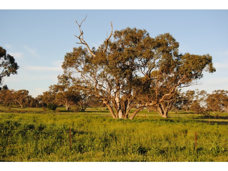 Pt Farm 86 Hulong Road, Widgelli NSW 2680