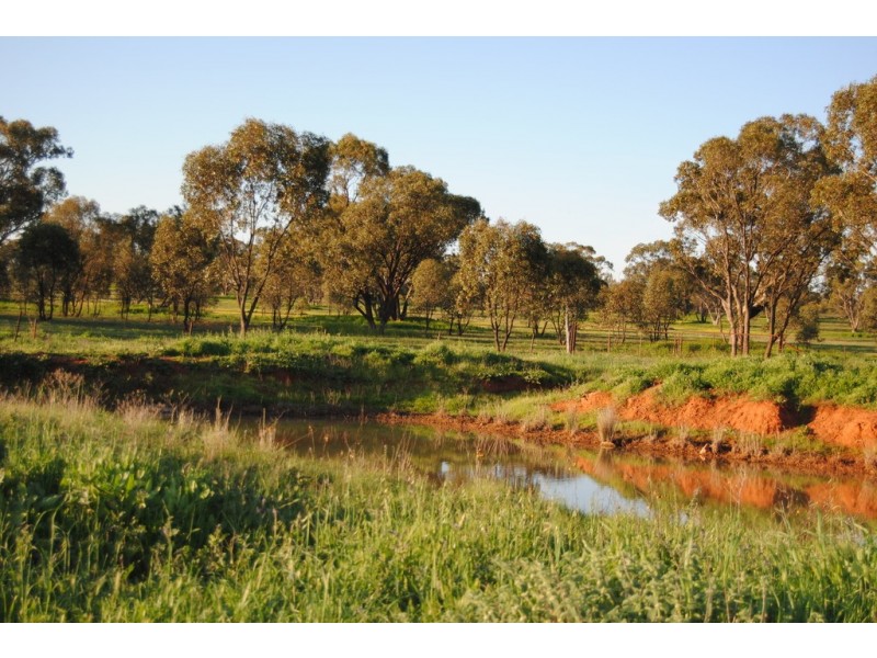 Pt Farm 86 Hulong Road, Widgelli NSW 2680