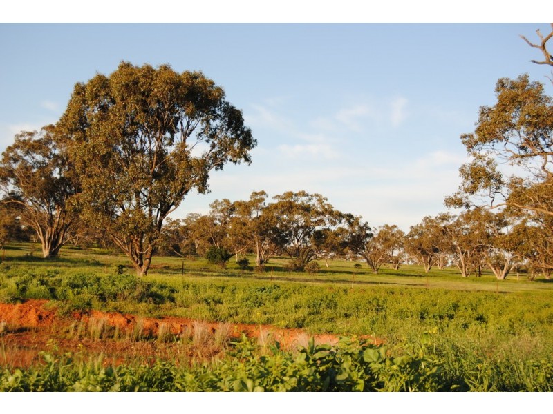 Pt Farm 86 Hulong Road, Widgelli NSW 2680