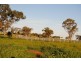 Pt Farm 86 Hulong Road, Widgelli NSW 2680