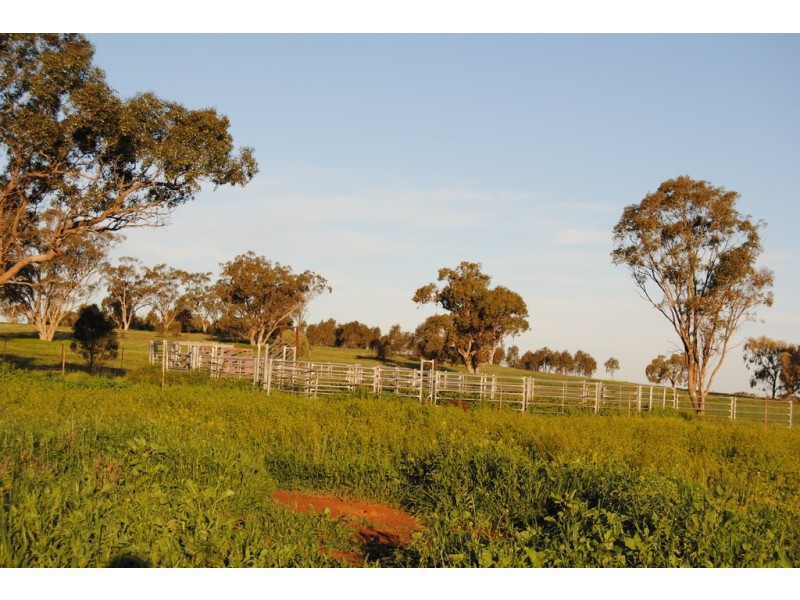 Pt Farm 86 Hulong Road, Widgelli NSW 2680