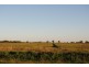 Pt Farm 86 Hulong Road, Widgelli NSW 2680