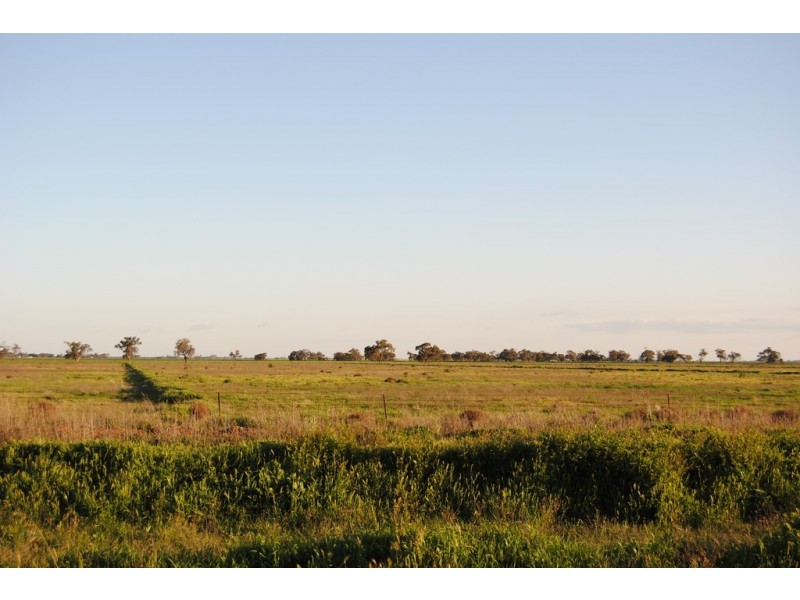 Pt Farm 86 Hulong Road, Widgelli NSW 2680