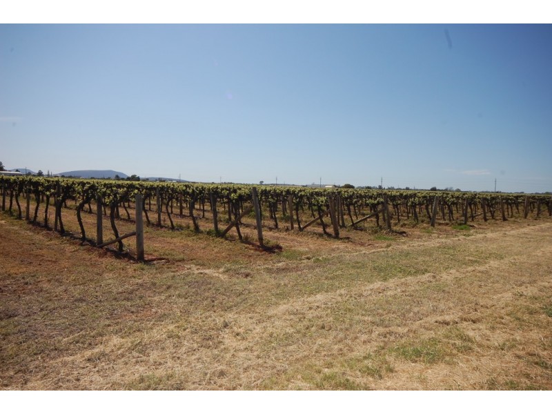 2245 Curran Road, Yenda NSW 2681