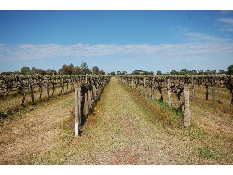 2245 Curran Road, Yenda NSW 2681