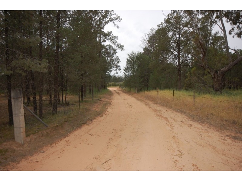 Farm 1777 Narrandera Road, Cudgel NSW 2700