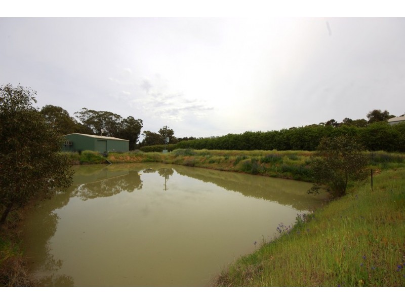 Farm 1777 Narrandera Road, Cudgel NSW 2700