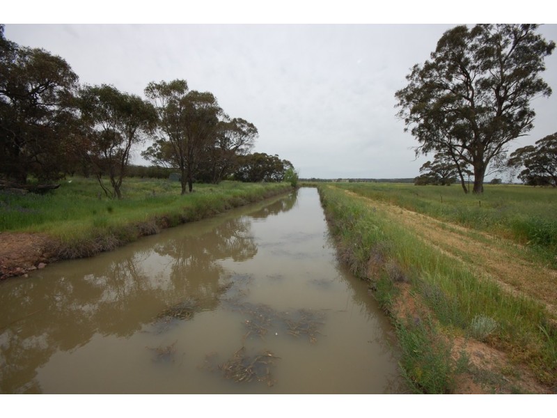 Farm 1777 Narrandera Road, Cudgel NSW 2700