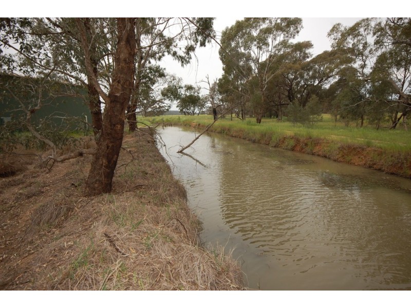 Farm 1777 Narrandera Road, Cudgel NSW 2700