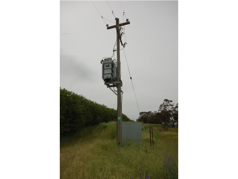 Farm 1777 Narrandera Road, Cudgel NSW 2700