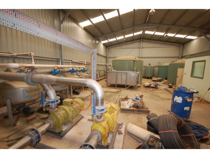 Farm 1777 Narrandera Road, Cudgel NSW 2700