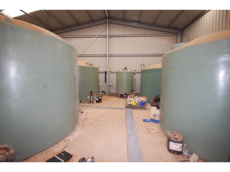 Farm 1777 Narrandera Road, Cudgel NSW 2700