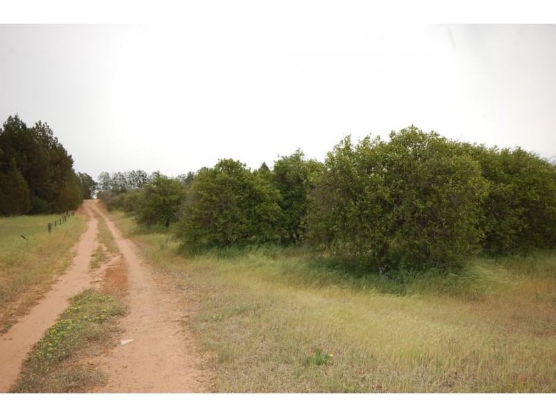 Farm 1777 Narrandera Road, Cudgel NSW 2700