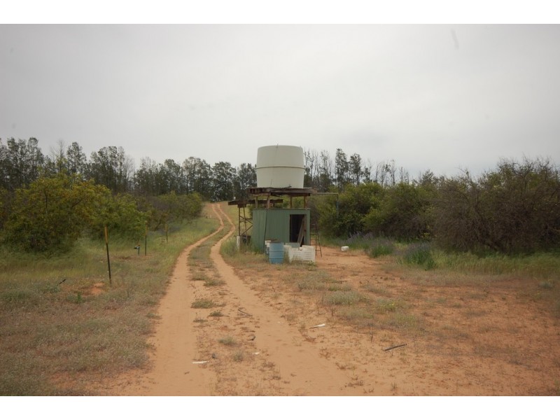 Farm 1777 Narrandera Road, Cudgel NSW 2700