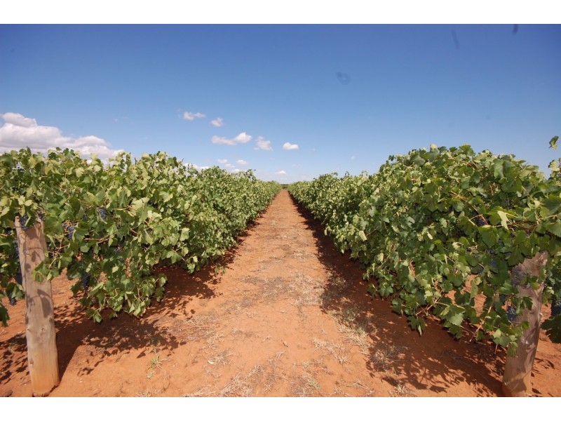 Farm 1716 Whites Road, Tharbogang NSW 2680