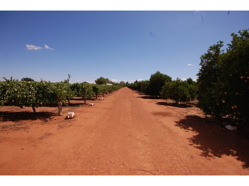 Farm 1716 Whites Road, Tharbogang NSW 2680