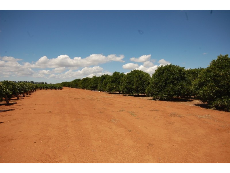 Farm 1716 Whites Road, Tharbogang NSW 2680