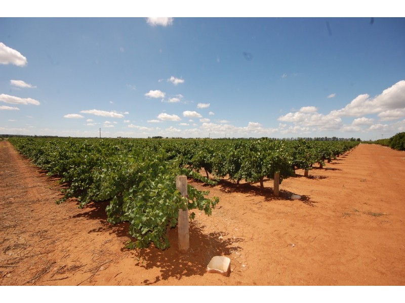 Farm 1716 Whites Road, Tharbogang NSW 2680