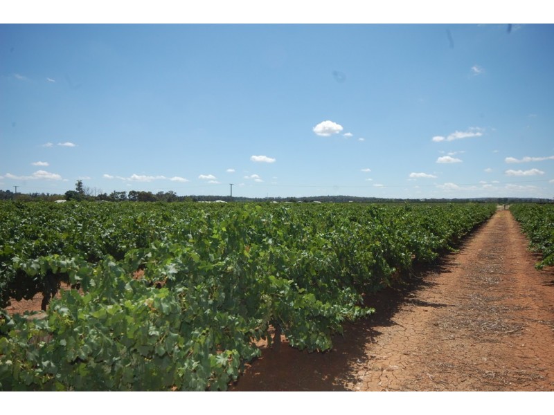 Farm 1716 Whites Road, Tharbogang NSW 2680