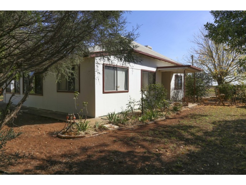 Farm 539, Yenda NSW 2681