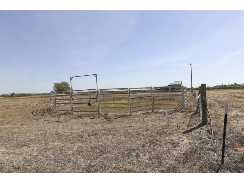 Farm 539, Yenda NSW 2681