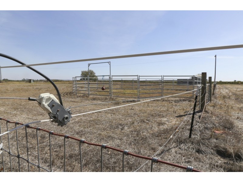 Farm 539, Yenda NSW 2681