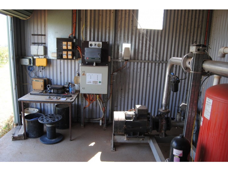 Farm 1342, Yenda NSW 2681