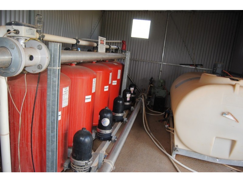 Farm 1342, Yenda NSW 2681