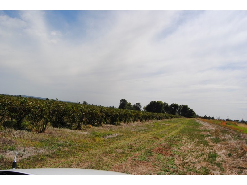 Farm 1342, Yenda NSW 2681