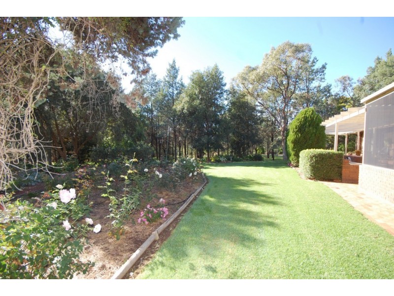 6 Maegraith Place, Sommerton Park,, Griffith NSW 2680