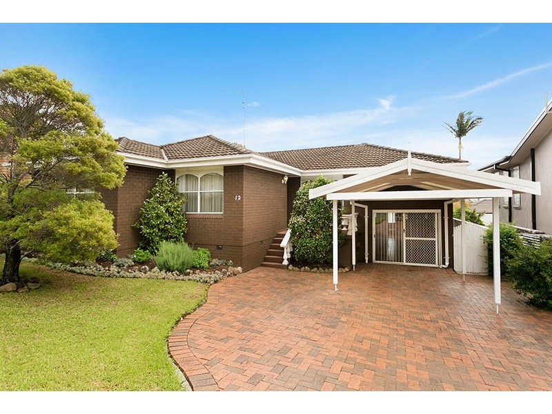 12 Hayes Avenue, Mount Warrigal NSW 2528