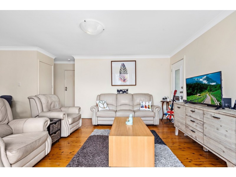 17 Junction Road, Barrack Point NSW 2528