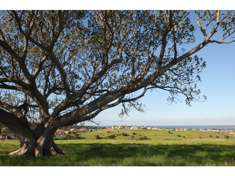 Lot 1215 Grace Place, Flinders NSW 2529