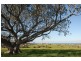 Lot 1216 Seacrest, Flinders NSW 2529