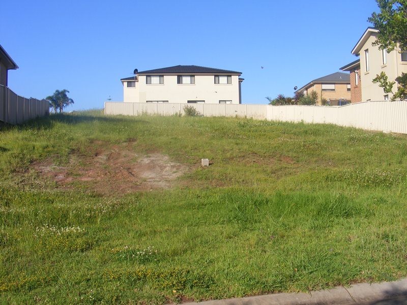 17 Larkin Crescent, Flinders NSW 2529
