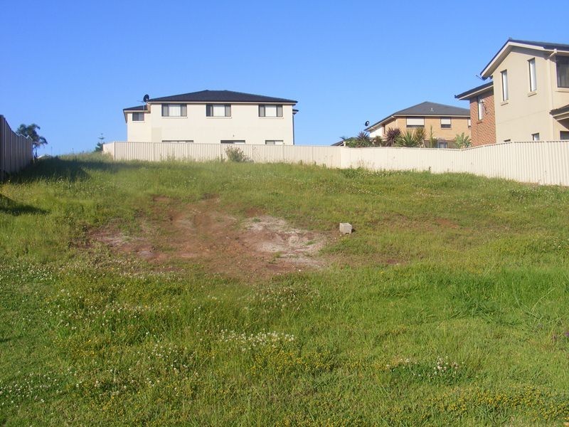 17 Larkin Crescent, Flinders NSW 2529