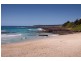 63  Wentworth Street, Shellharbour NSW 2529