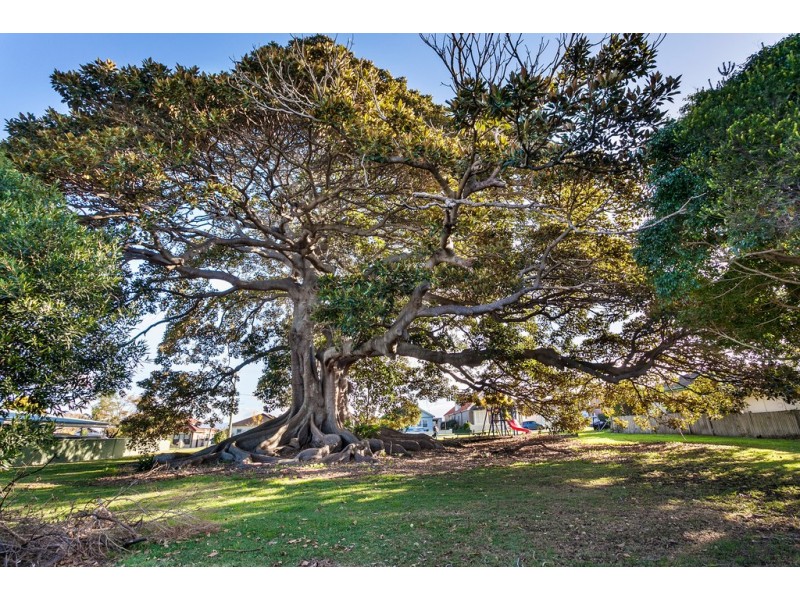 2/55 Wentworth Street, Shellharbour NSW 2529