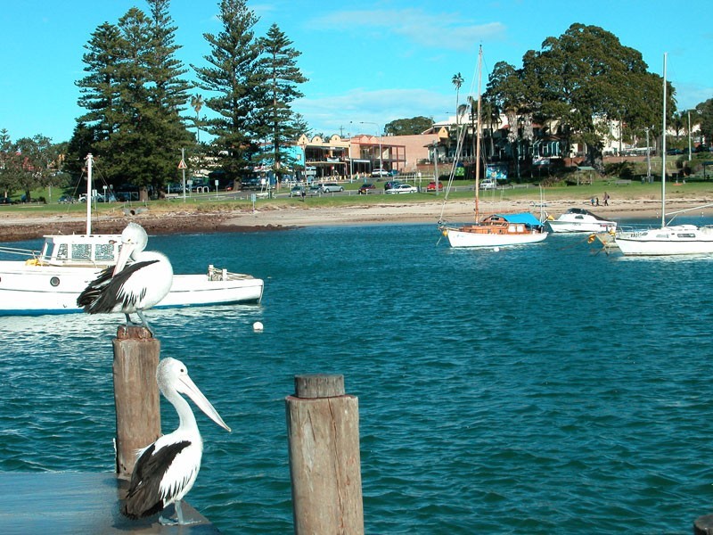 63 Addison Street, Shellharbour NSW 2529