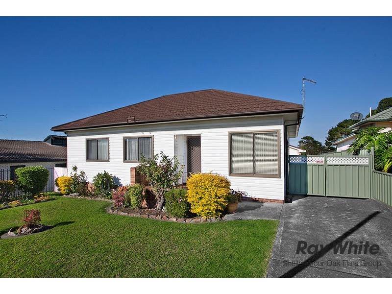 14a Hoskins Avenue, Warrawong NSW 2502