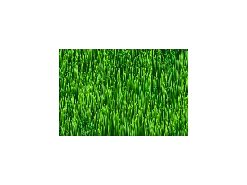 9 Larkin Crescent, Flinders NSW 2529