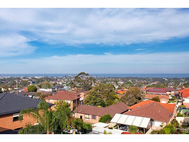 153 Captain Cook Drive, Barrack Heights NSW 2528