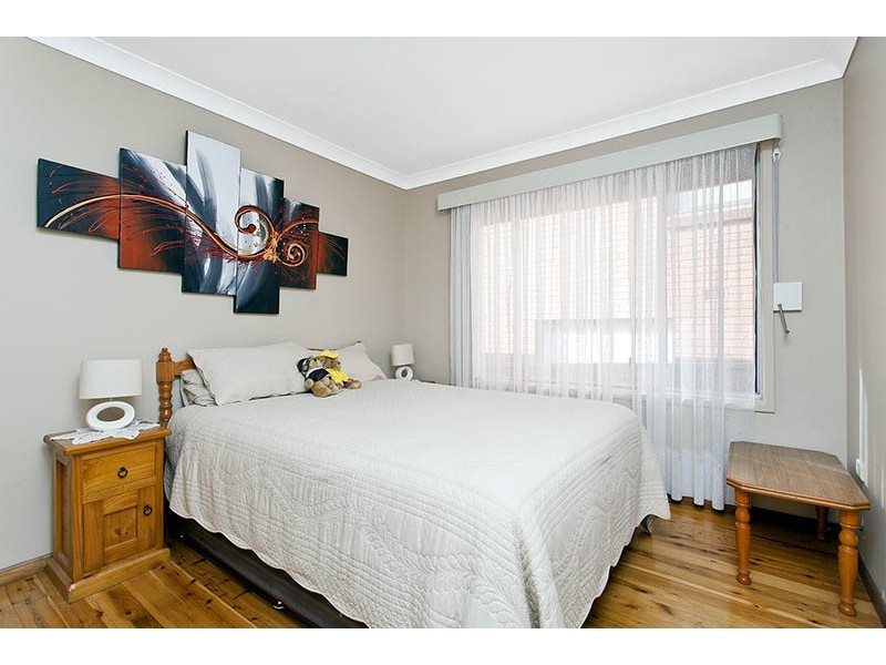 17 Grose Avenue, Barrack Heights NSW 2528